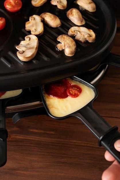 t-fal optigrill manual