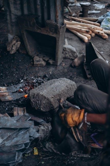 napoleon gas fireplace manual