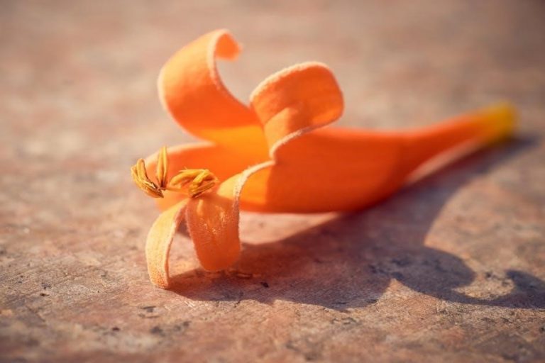 venustas heated vest instructions